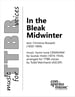 In the Bleak Midwinter